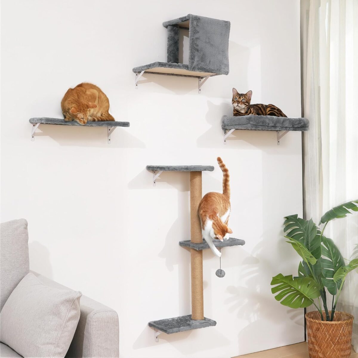 FUKUMARU Kletterwand Katzen