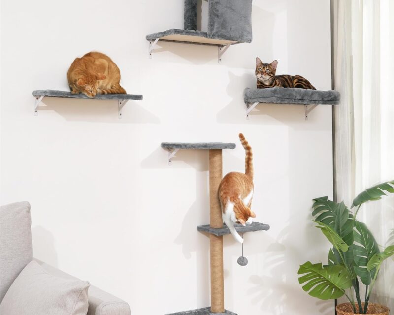 FUKUMARU Kletterwand Katzen