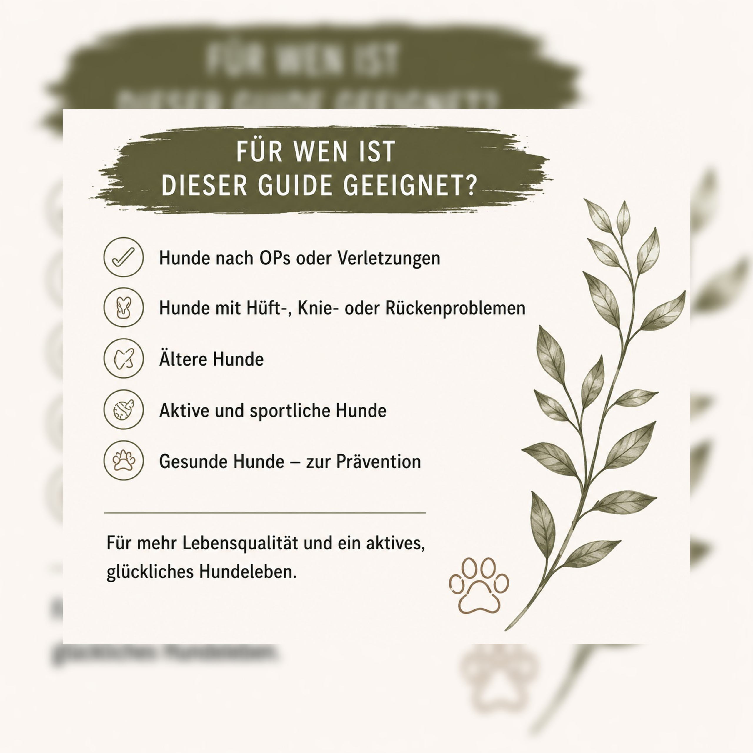 Unser Outdoor-Physio-Guide für Hunde | Übungen beim Gassi gehen – Bild 3