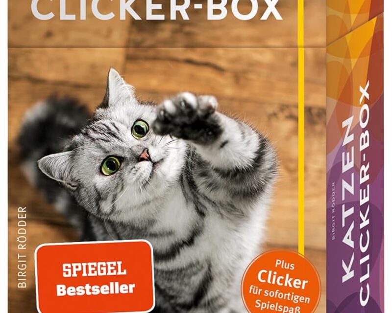 Katzen-Clicker-Box