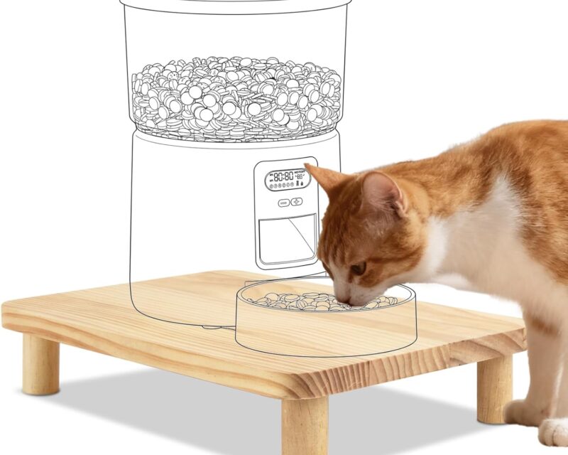 Erhöhter Stand für Futternäpfe