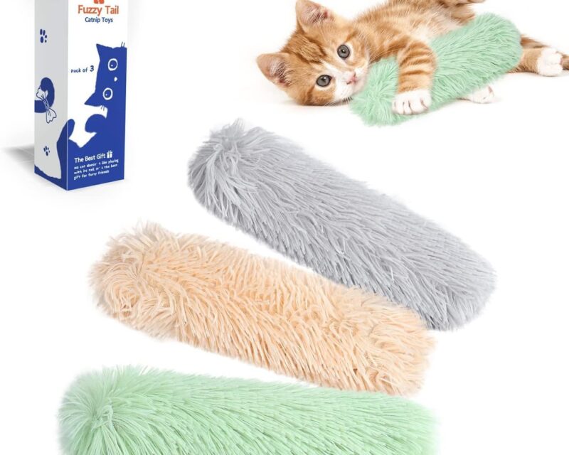 Fun Board Katze