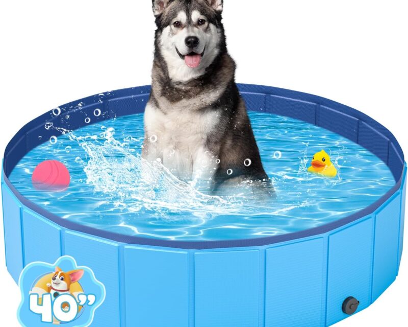 Hundepool