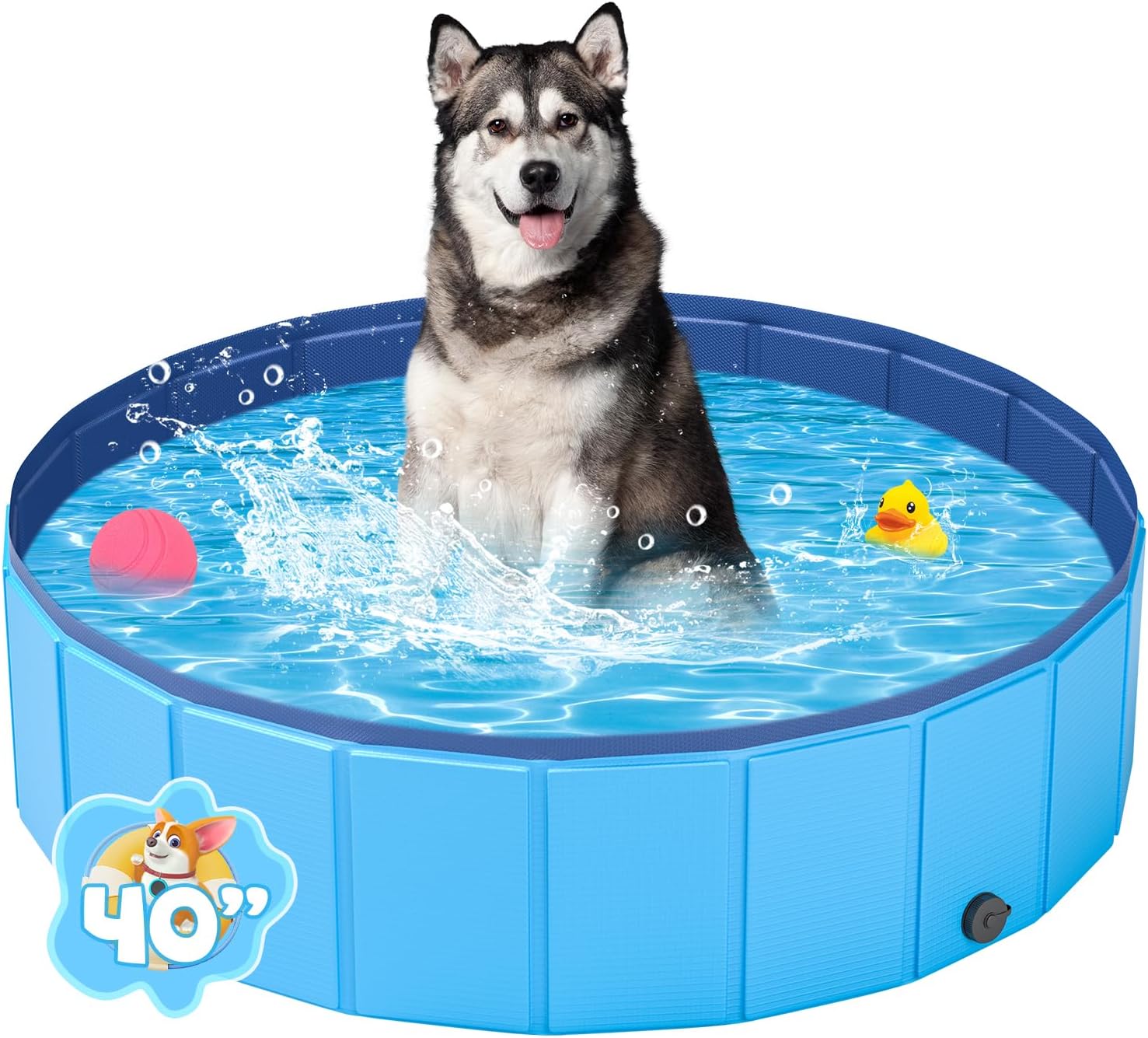 Hundepool – Bild 1