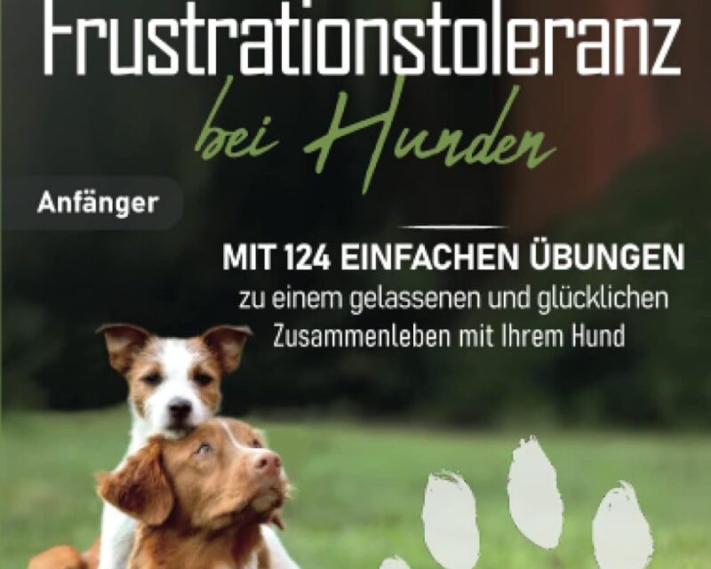 Impulskontrolle und Frustrationstoleranz bei Hunden