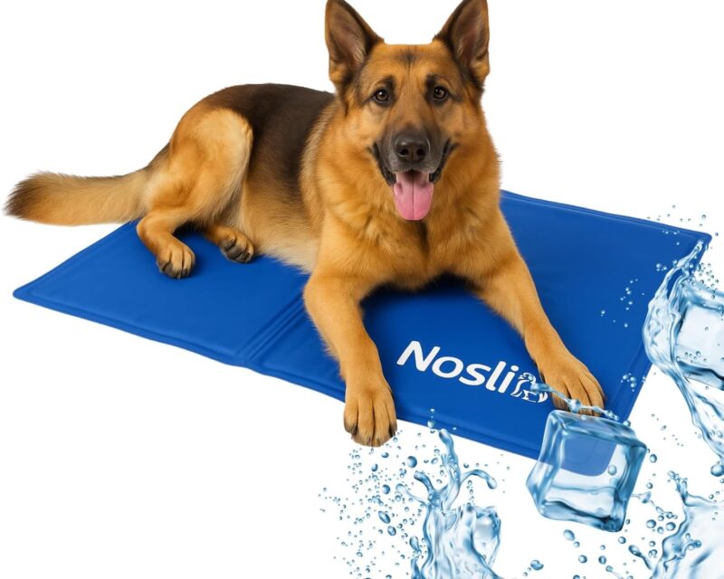 Kühlmatte für Hunde, Katzen