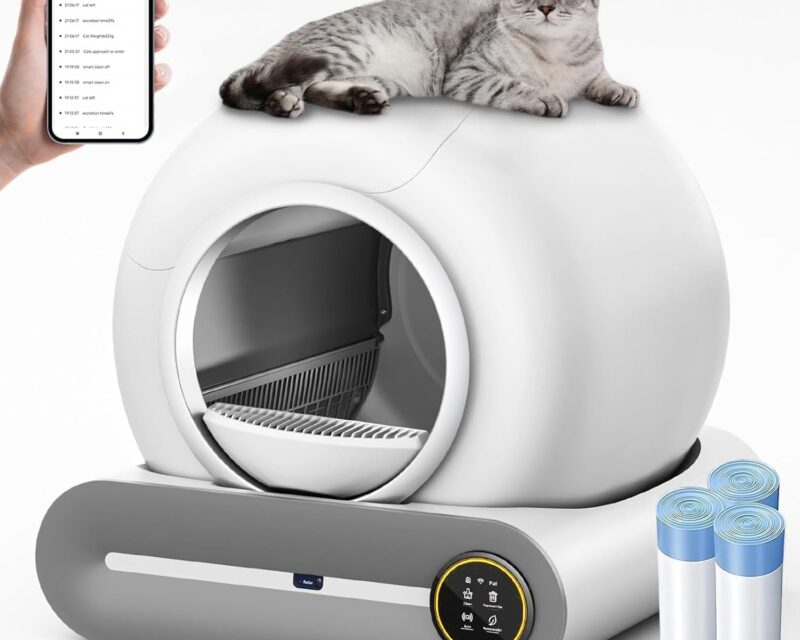 Selbstreinigende Katzentoilette